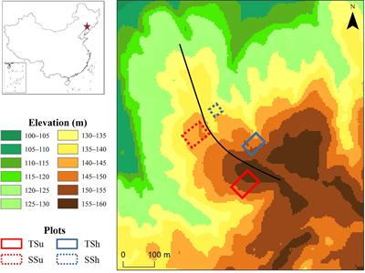 Microtopography mediates the climate–growth relationship and growth resilience to drought of Pinus tabulaeformis plantation in the hilly site